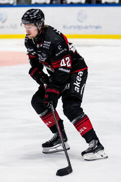 Malmö Redhawks Robin Salo