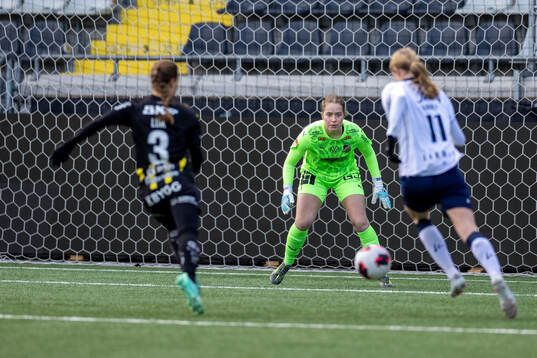 Häckens målvakt Fanney Birkisdóttir