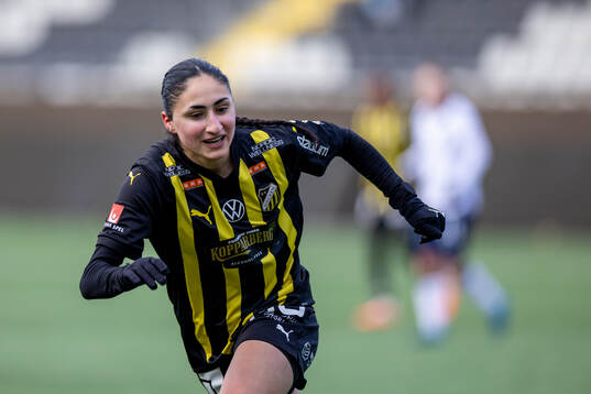 Häckens Nesrin Akgün
