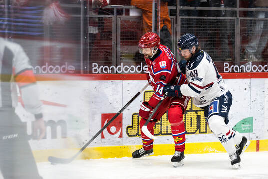 Bläddra bland fler bilder av Ishockey, SHL, Timrå - Linköping