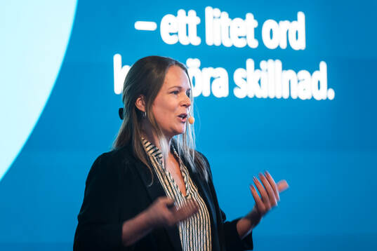 Carolina Rindefors, Stiftelsen Friends