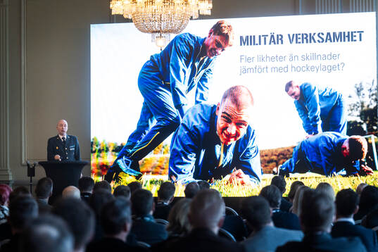 Mats Ludvig, Försvarsmakten