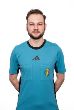 Domare Max Persson