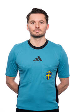 Domare Joakim Sars