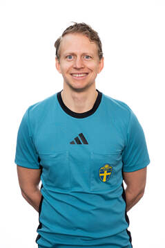 Domare Niklas Nyberg