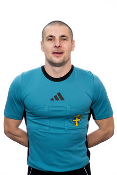 Domare Mirza Rovcanin
