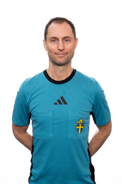Domare Mikael Hallin