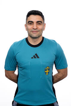 Domare George Jansizian