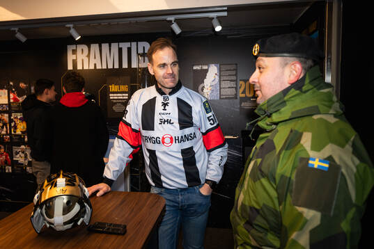 Domare Richard Magnusson