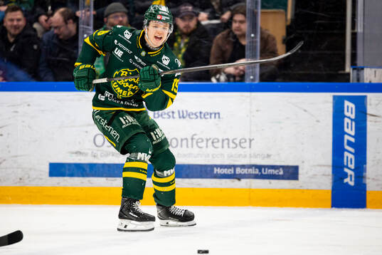 Björklövens Liam Dower Nilsson