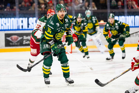 Björklövens Daniel Brodin
