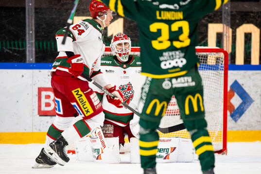Modos målvakt Adam Werner deppar