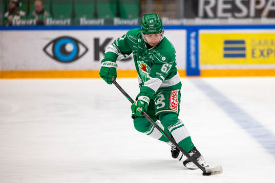 Rögles Leon Bristedt
