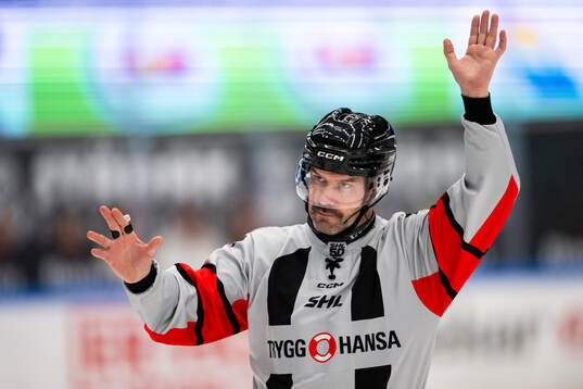 Domare Mattias Enroth