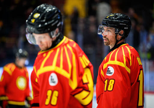 Brynäs Anton Rödin