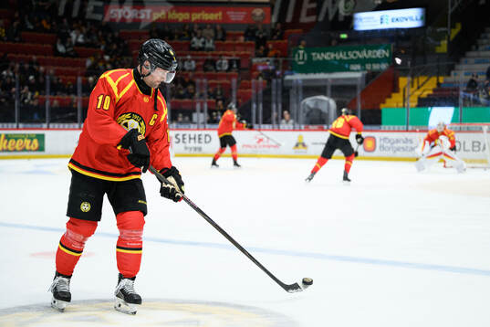 Brynäs Johan Larsson
