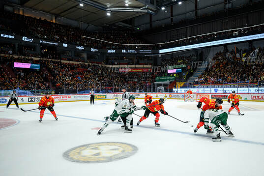 Monitor ERP Arena