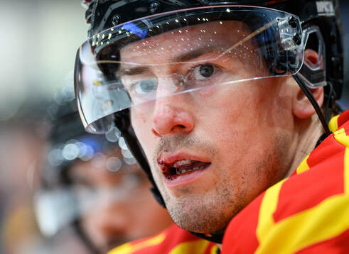 Brynäs Robert Hägg