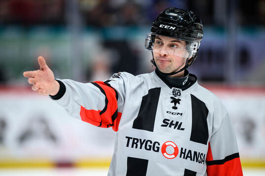 Domare Johan Wedin