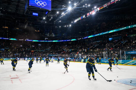 Players of Sweden