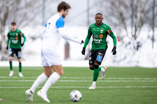 Varbergs Shanyder Borgelin