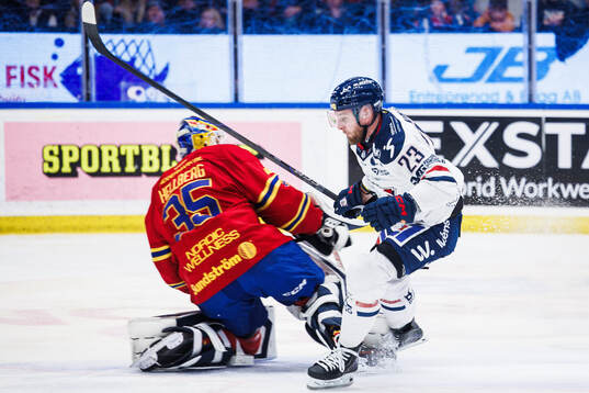 Djurgårdens målvakt Magnus Hellberg och Linköpings Robin