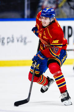 Djurgårdens Håvard Salsten