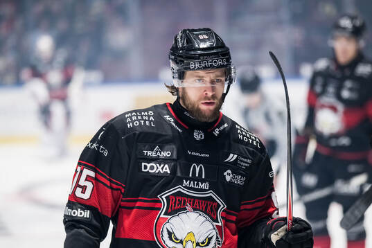 Malmö Redhawks Carl Persson