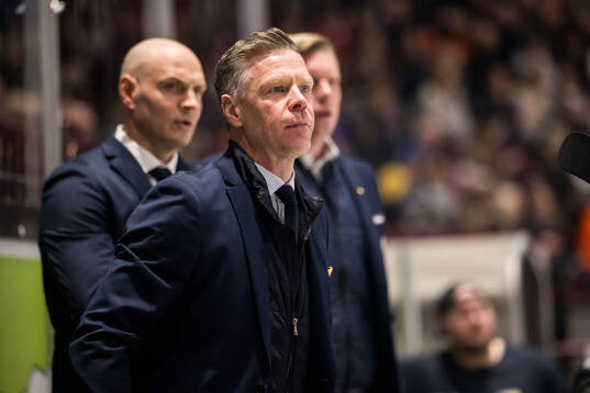 HV71s tränare Anton Blomqvist