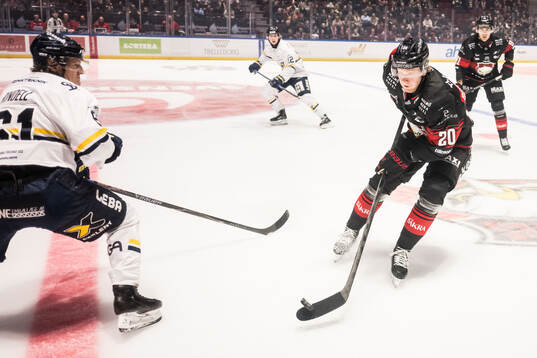 Malmö Redhawks Thomas Berg Paulsen