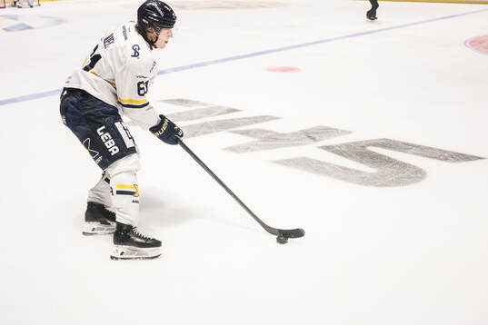 Under ishockeymatchen i SHL mellan Malmö Redhawks och HV71