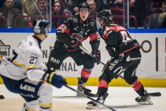 Malmö Redhawks Janne Kuokkanen