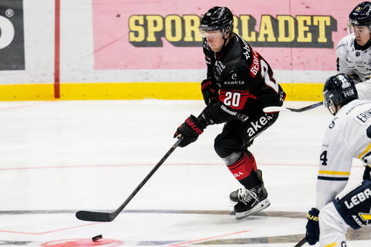 Malmö Redhawks Thomas Berg Paulsen