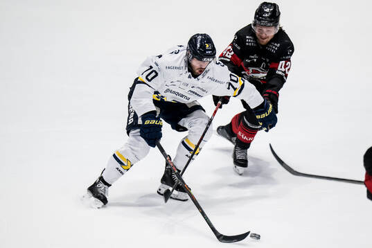 HV71s Lukas Rousek och Malmö Redhawks Robin Salo