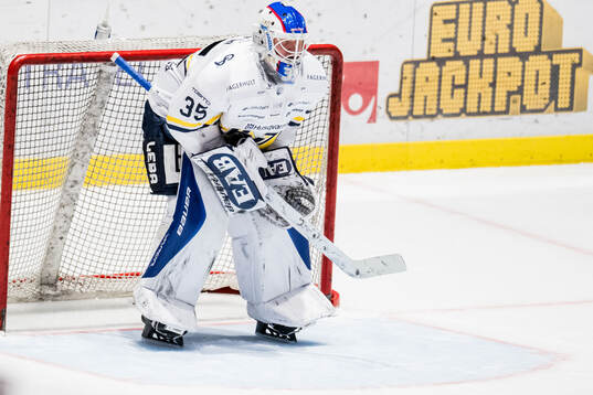 HV71s målvakt Olof Glifford