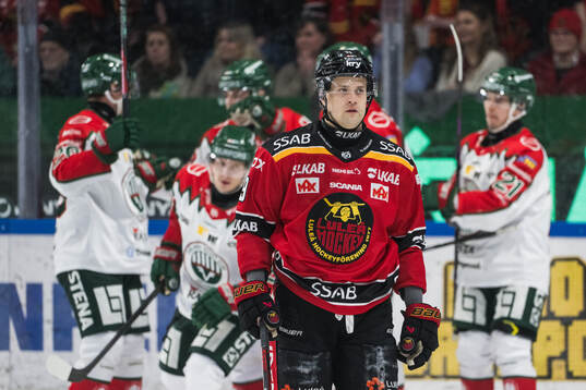 Luleås Heikki Liedes deppar