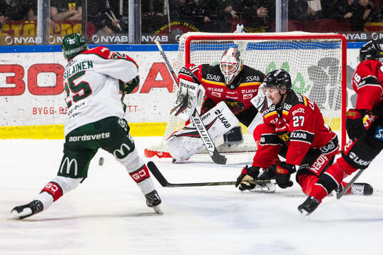Luleås målvakt Matteus Ward