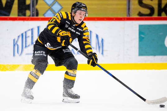 Skellefteås Theo Landström