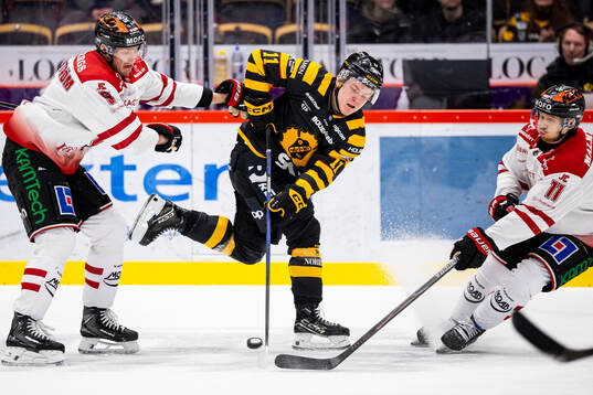 Skellefteås Theo Landström