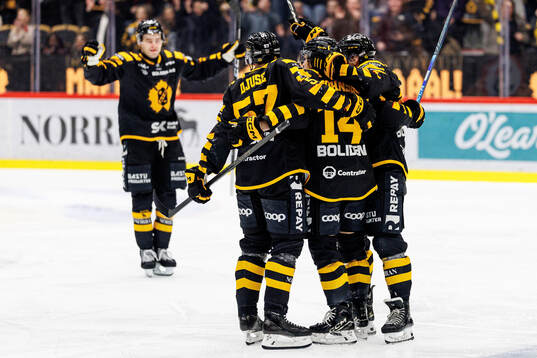 Skellefteås Andreas Johnson jublar