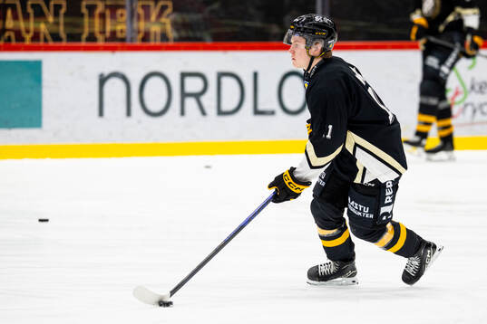 Skellefteås Theo Landström