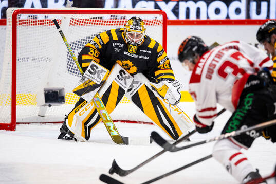 Skellefteås målvakt Strauss Mann