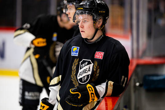Skellefteås Theo Landström