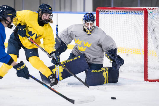 Ebba Hedqvist and goaltender Emma Söderberg of Sweden at a