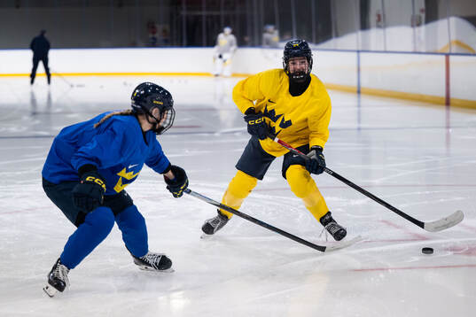 Linnea Andersson and Ebba Hedqvist of Sweden at a ice