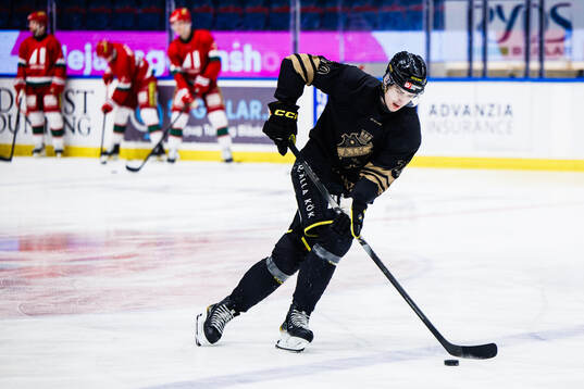 AIKs Daniel Ljungman