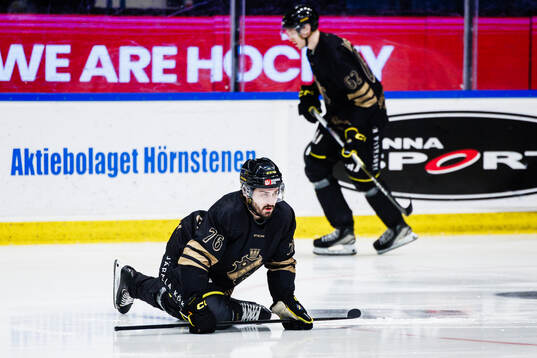 AIKs Erik Aterius