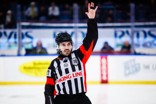 domare Niklas Johansson