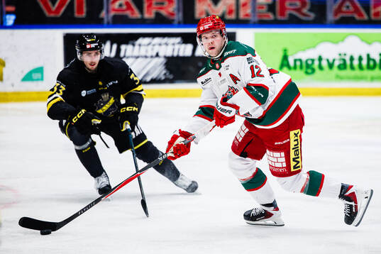 Modos Oscar Pettersson
