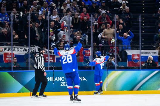 Dalibor Dvorsky of Slovakia celebrates